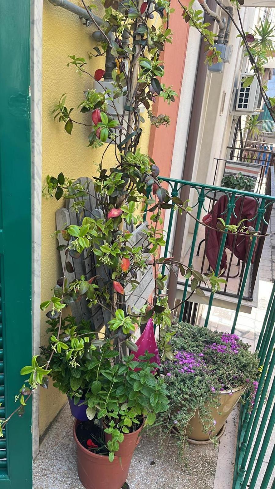 La Casa Di Nonna Sisina Villa Mola di Bari Exterior photo